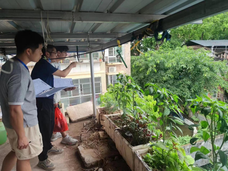 完美网页版：以青春汗水守护农村自建房安全